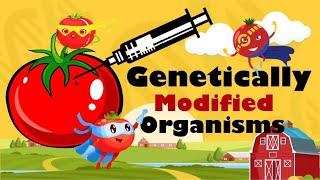 GMO- Genetically Modified Organisms (Benefits, Risks, Biosafety and Philippine Context)