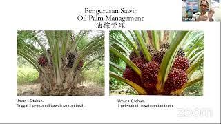 线上教学讲座主题： 黄金农作物 - 油棕种植的系统化管理 （By Mr Tan Lea Joon - Twin Arrow Fertilizer )