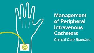 Improving the use of cannulas: Launch of the Peripheral Intravenous Catheters Clinical Care Standard