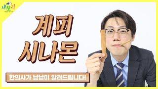 계피, 시나몬의 효능에 대해서 한의사가 자세히 알려드리겠습니다.