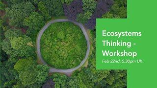 Ecosystems Thinking Canvas - Workshop