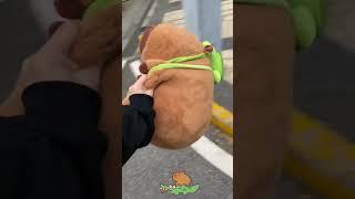 A Plush Capybara Takes a Tumble from the Electric Bike