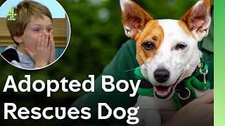 Adopted Boy Finds His Perfect Rescue Dog | The Dog House  | Dog Stories