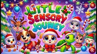 Little Sensory Journeys - Fruit Dance Party  Christmas  Fun animation with music Bear Sensory