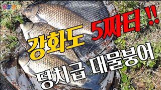 붕어낚시 강화도 최고의 5짜터 들이대면 기록 갱신 아니면 폐인!!!!#fishing