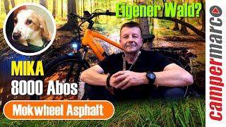 Mokwheel Asphalt | Wald gekauft? | 8k Abos | neues Familienmitglied: Mika