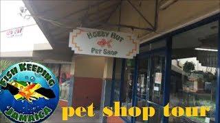 Jamaican pet shop tour: Hobby Hut Pet Shop