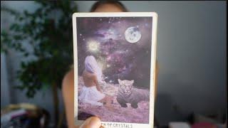 THE DRAMATIC CHANGE YOU DON'T SEE COMING!  #tarotreading