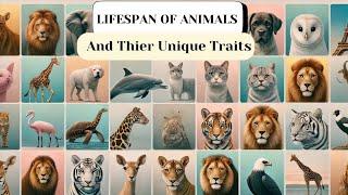 Top Animals: Lifespan & Unique Traits | Discover Fascinating Facts!”