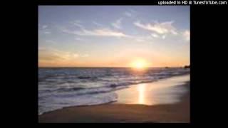 Everybody's Down at the Beach by the BEL-AIR BANDITS