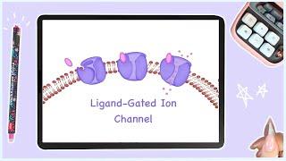 Ligand Gated Ion Channels - Cell Signaling