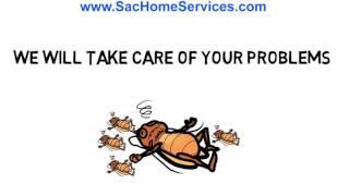 Sacramento Pest Control Service