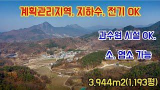 No 208 계획관리지역. 지하수. 전기 OK 사과 과수원 시설 OK  소. 염소 가능 3.944m2(1,193평)