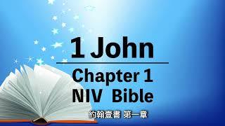 1 John 1【約翰壹書 第一章】中英字幕｜NIV Audio Bible | New Testament | 新約聖經 | 英語誦讀