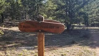 Bison Peak 12,431 Feet. Colorado 12er Day Hike