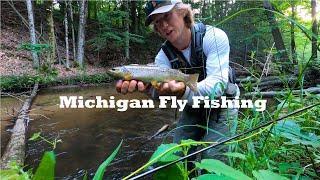 Native Brookies and Beautiful Browns || Michigan Trout Series || EP. 3