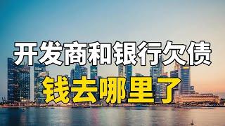 房地产让经济高速发展，但开发商银行和老百姓都负债，钱去哪了？