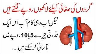 Kidney Ki Safai Karain Sirf 5 Ya 10 Rupay Main | Urdu Lab