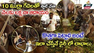 ముర్రా గేదెలు, కోట్లల్లో ఆదాయం | Huge Profits In Murrah Buffalo Dairy Farm | MNR Annadatha