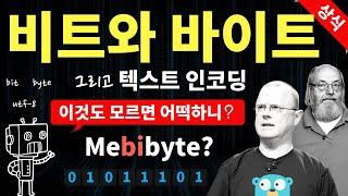 비트와 바이트 문자인코딩 개념 정리 10분 ‍️ | 컴공 기본 상식 가좌아 (메가와 메비의 차이를 알고 있뉘?)