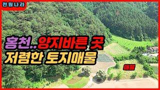 [[ 부동산직거래 ]] 홍천 / 양지바른 곳 토지 / 둘이 사면 / 3,500만원