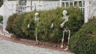 5 Outdoor Halloween Decorations Ideas