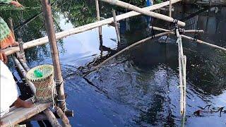 Bamboo trap for catching fish | tide time fishing technique using dharmo net | fishing expert