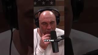 Joe rogan On bear attack  #joerogan #podcast #Bear