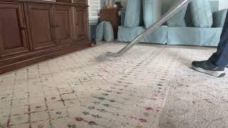 OverlyClean Area Rug Cleaner