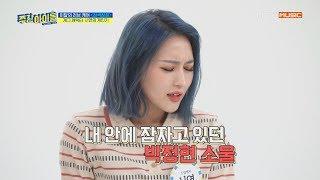 [Weekly Idol] 대유잼 싱니의 개인기 창고 大 방출! l EP.430 (ENG SUB)