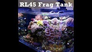 RL45 All in One Rimless Aquarium