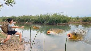 How to make an effective automatic fishing trap using bamboo | Best fishing on the river video