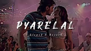 PYARELAL (প্যারেলাল) | Lofi Song  | Dui Prithibi | Slowed and Reverb Song ..