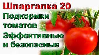 ШПАРГАЛКА 20  Подкормка томатов и огурцов  Дозировка