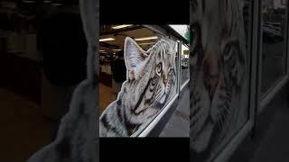 Creative Storefront Giant Cat Illusion Decoration  #cat