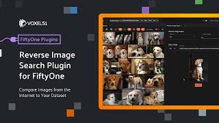 FiftyOne Computer Vision Plugins: Reverse Image Search Plugin