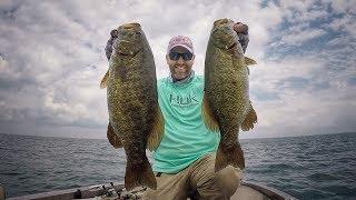 Found a MEGA SCHOOL of Lake St. Clair Smallmouth!