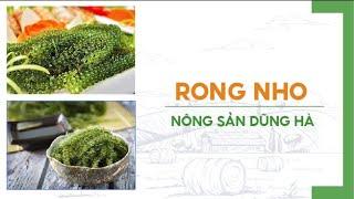 Rong Nho: Liệu Có Phải Là Thực Phẩm Kỳ Diệu Giúp Trẻ Hóa Da?