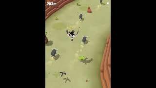 Rodeo stampede