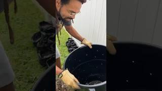 FREE SOIL.. Simple ￼Composting 101