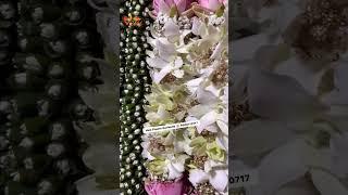 Wedding Garland Customized Garlands#flower #chennai #tamilnadu #wedding #garland #malai #decor