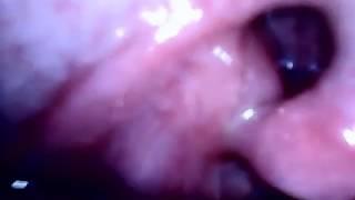 Eating you again ( vore video)