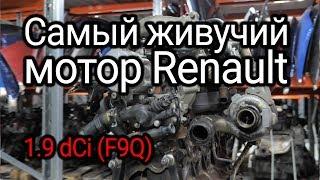 Надежный или неудачный? Разбираем все проблемы дизеля Renault 1.9 dCi (F9Q)