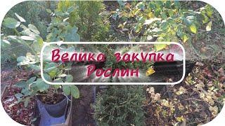 Багато закупила Рослин‼️З Епіцентру, по гарних знижках!|Що ж придбала⁉️