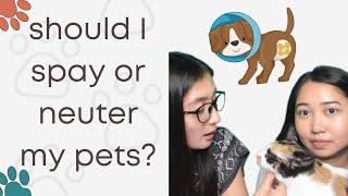 LEARN ABOUT KAPON (Spay and Neuter) ft. Dr. Pearl Lagman (Philippines)