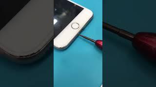 How to Replace iPhone 8 Plus Battery