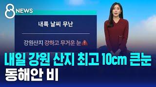 [날씨] 내일 강원 산지 최고 10cm 큰눈…동해안 비 / SBS 특집 8뉴스