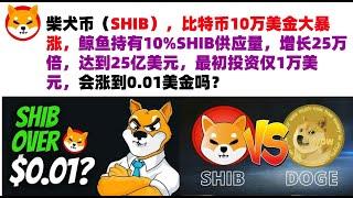 柴犬币（SHIB），比特币10万美金大暴涨，鲸鱼持有10%SHIB供应量，增长25万倍，达到25亿美元，最初投资仅1万美元，会涨到0.01美金吗？shib币|柴犬币|屎币行情分析！