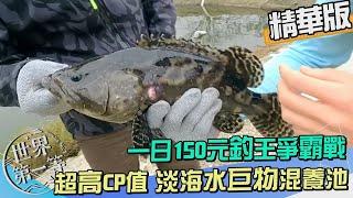 【新竹】150元釣一整天 淡海水巨物混養池釣王爭霸戰｜《世界第一等》1043集精華版