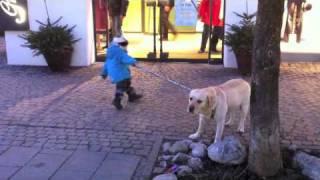 Boy and dog